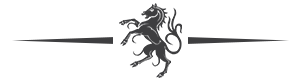pferd_divider.png